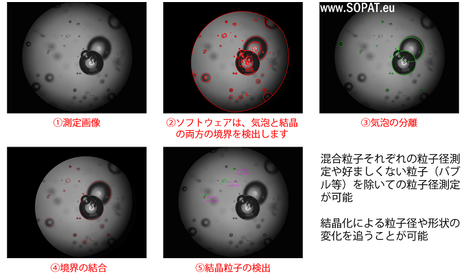 測定画像例